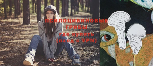 марки nbome Пересвет