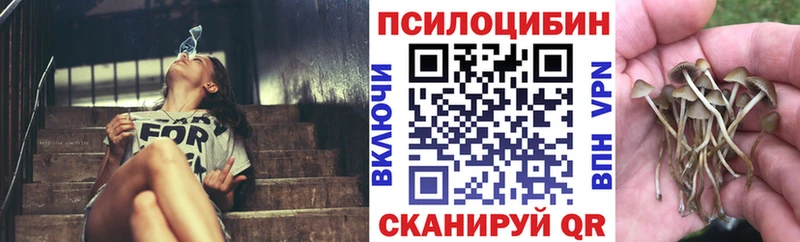 Псилоцибиновые грибы мицелий  Югорск 