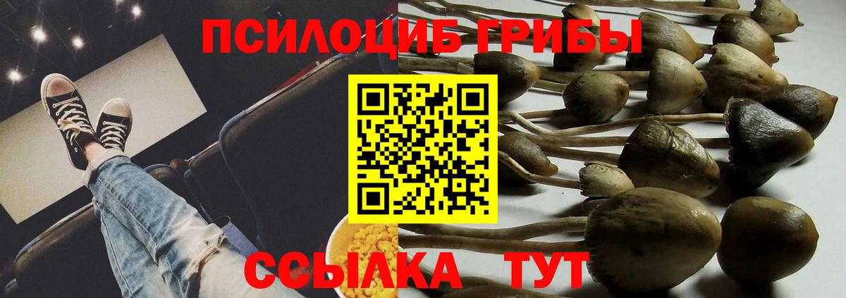Галлюциногенные грибы Cubensis  Вход с VPN  Югорск 