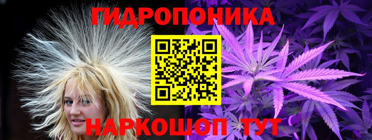 Шишки марихуана марихуана Югорск